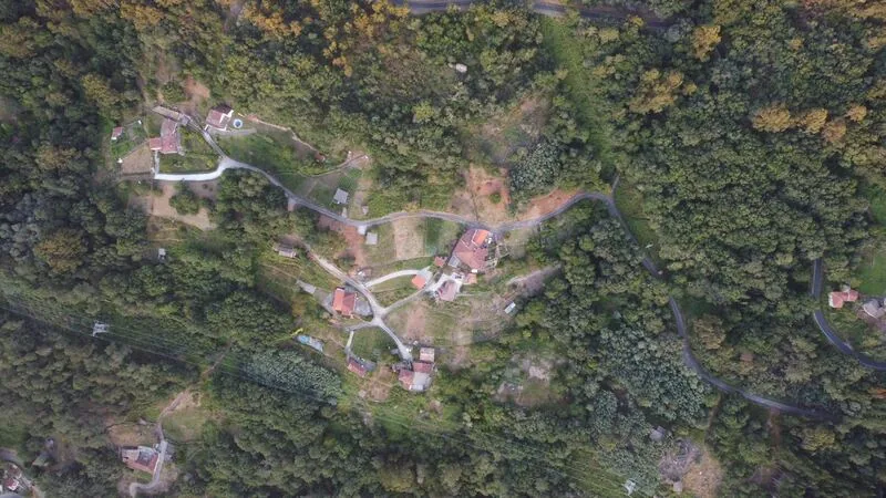 Bird's-eye view of the hamlet of Casdosteo set among forest and vineyard terraces, Ribeira Sacra