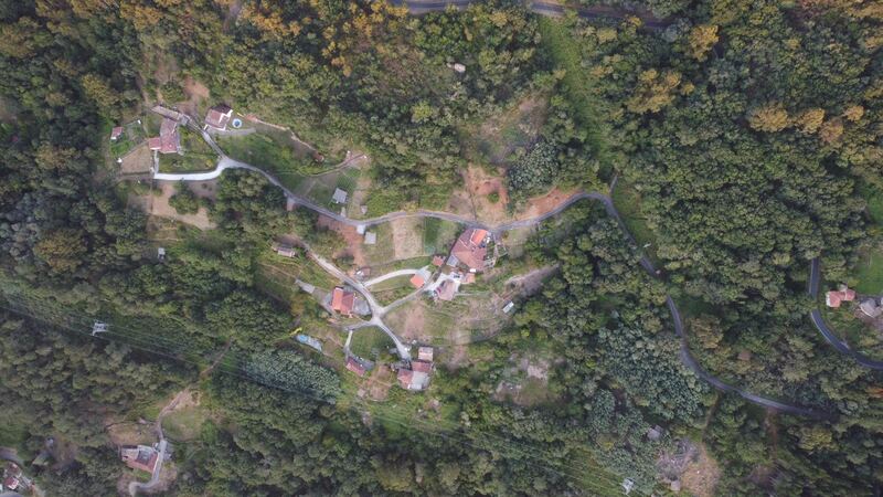 Bird's-eye view of the hamlet of Casdosteo set among forest and vineyard terraces, Ribeira Sacra