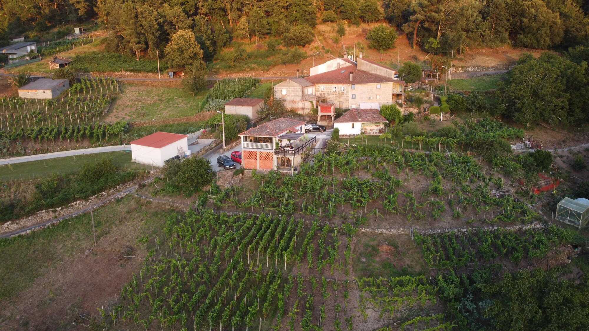 Aerial view of Casa da Viña — a restored schoolhouse above its family vineyards, overlooking the Miño valley in Ribeira Sacra, Galicia