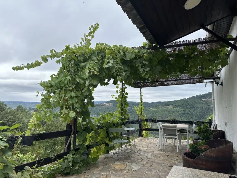 Vine-covered pergola on the terrace of Casa da Viña with valley views