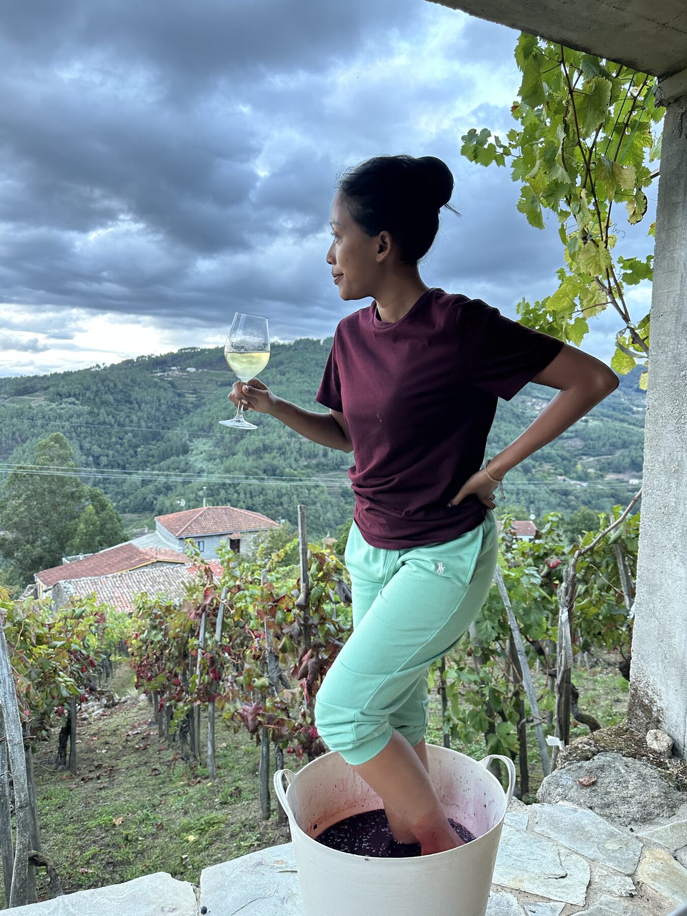 Family winery of Casa da Viña — heroic viticulture in the vineyards of Ribeira Sacra
