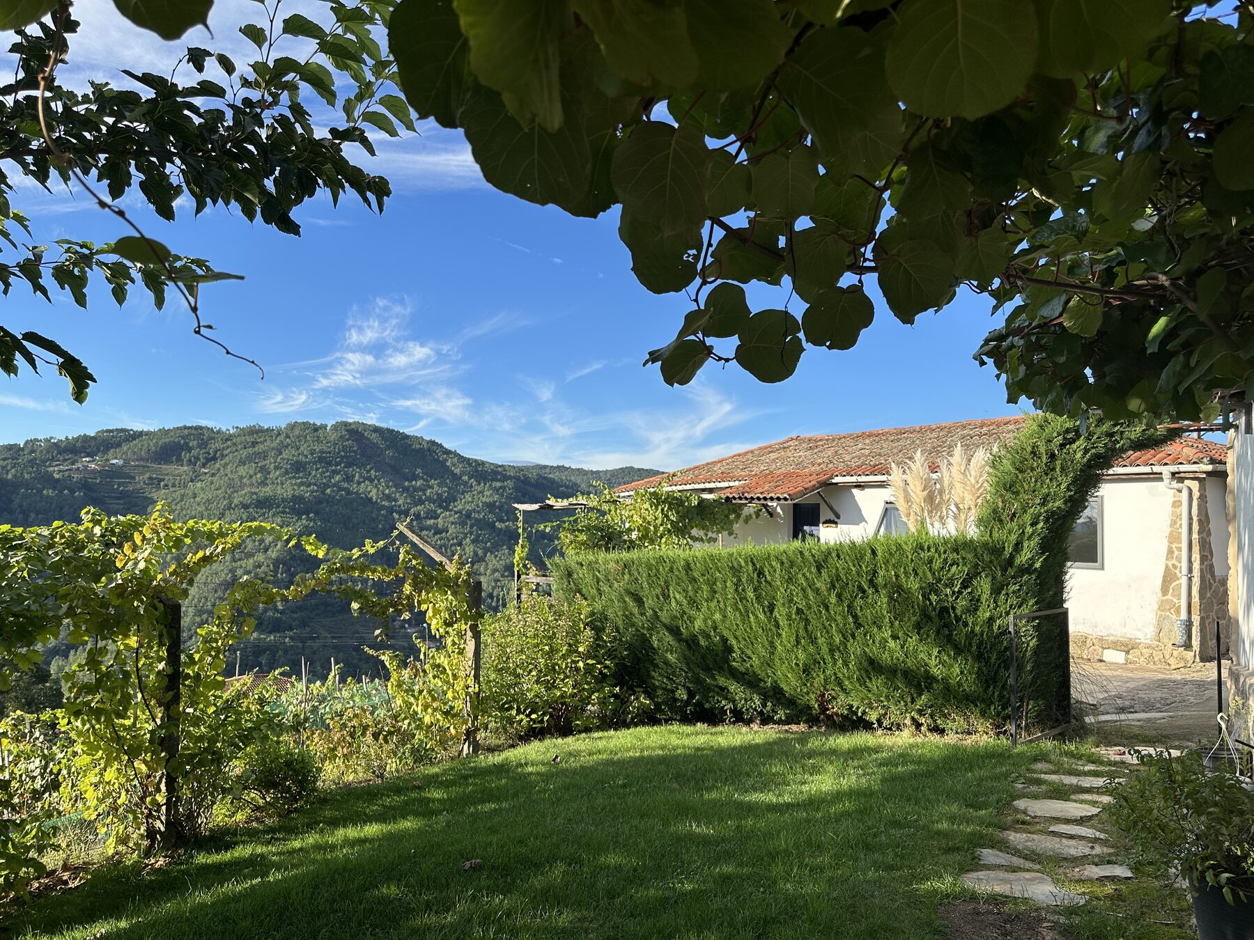Casa da Viña, a stone schoolhouse among the terraced vineyards of Ribeira Sacra