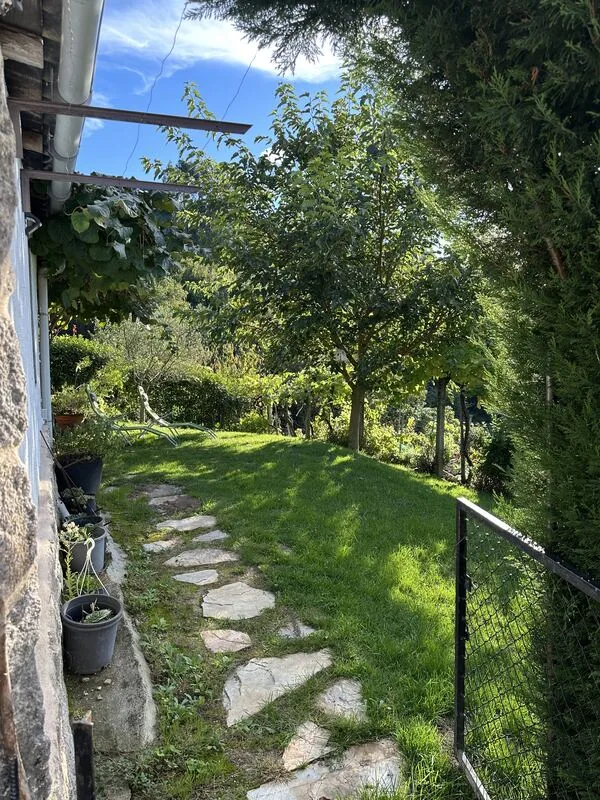 Garden and vineyards surrounding the rural house in Nogueira de Ramuín