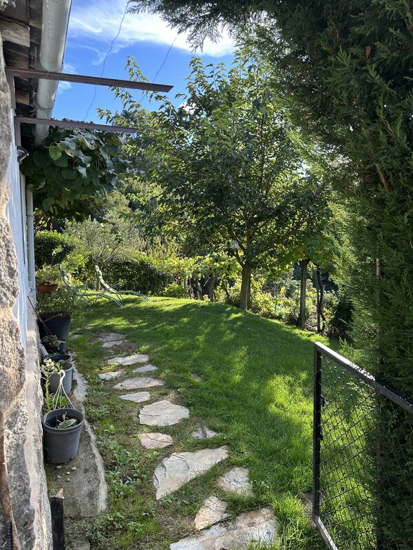 Garden and vineyards surrounding the rural house in Nogueira de Ramuín