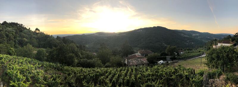 Panoramic view over the terraced vineyards and hills of Ribeira Sacra at sunset from Casa da Viña