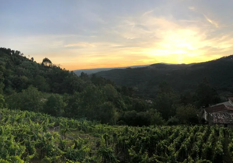 Sunset over the wooded valley and vineyards seen from Casa da Viña, Ribeira Sacra