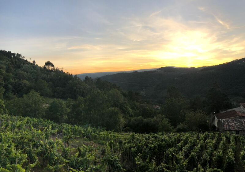 Sunset over the wooded valley and vineyards seen from Casa da Viña, Ribeira Sacra